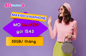 goi cuoc max100 vinaphone