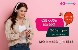 goi cuoc km60g vinaphone