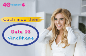 mua them data 3G VinaPhone