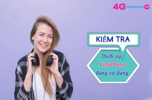 kiem tra dich vu VinaPhone dang su dung