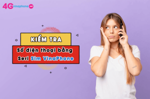 kiem tra so dien thoai bang seri sim vina