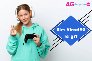 sim vina690