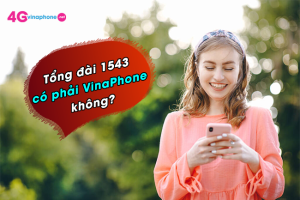 tong dai 1543 vinaphone