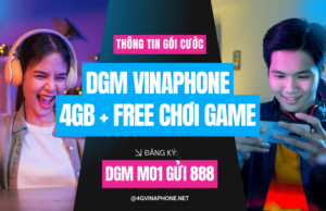 goi cuoc dgm vinaphone