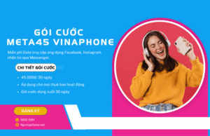 goi cuoc meta45 vinaphone